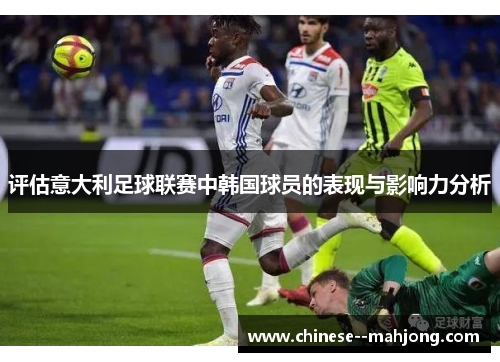 评估意大利足球联赛中韩国球员的表现与影响力分析