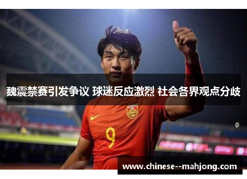 魏震禁赛引发争议 球迷反应激烈 社会各界观点分歧