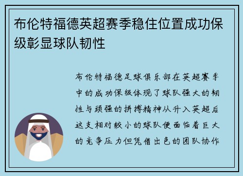 布伦特福德英超赛季稳住位置成功保级彰显球队韧性